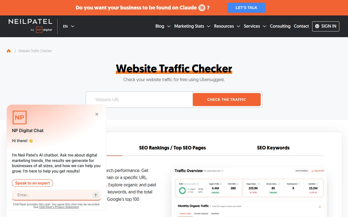 Website traffic checker page